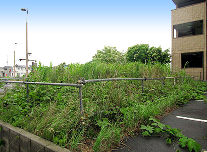 除草作業