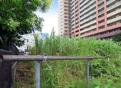 除草作業