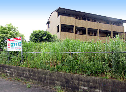 除草作業